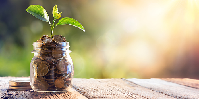 What would you like more information on?